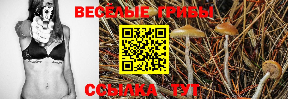 Псилоцибиновые грибы Cubensis Родники